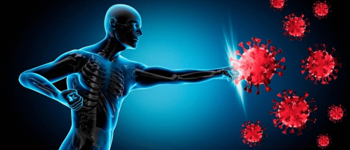 Healthy immune system with sericin